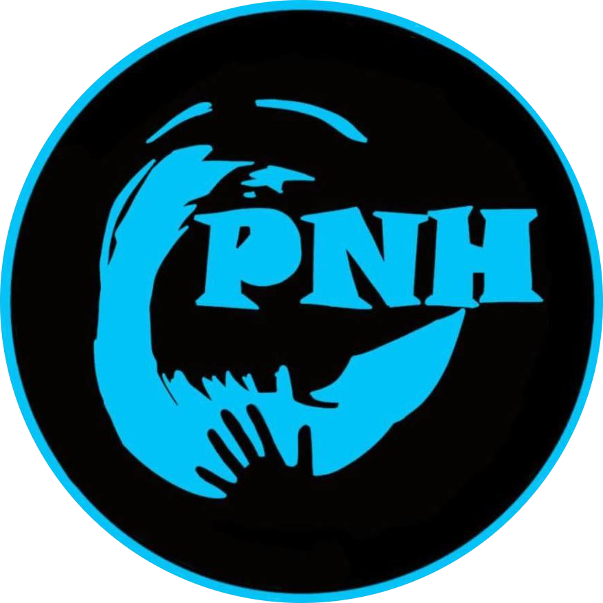 Pays des Nestes Handball (PNH)